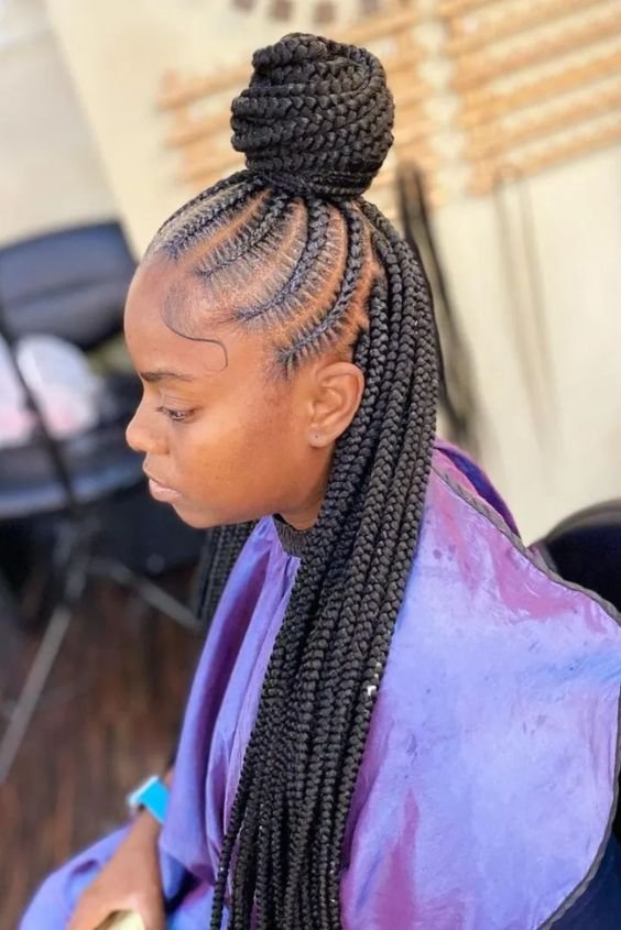 Half Up half Down Braids 