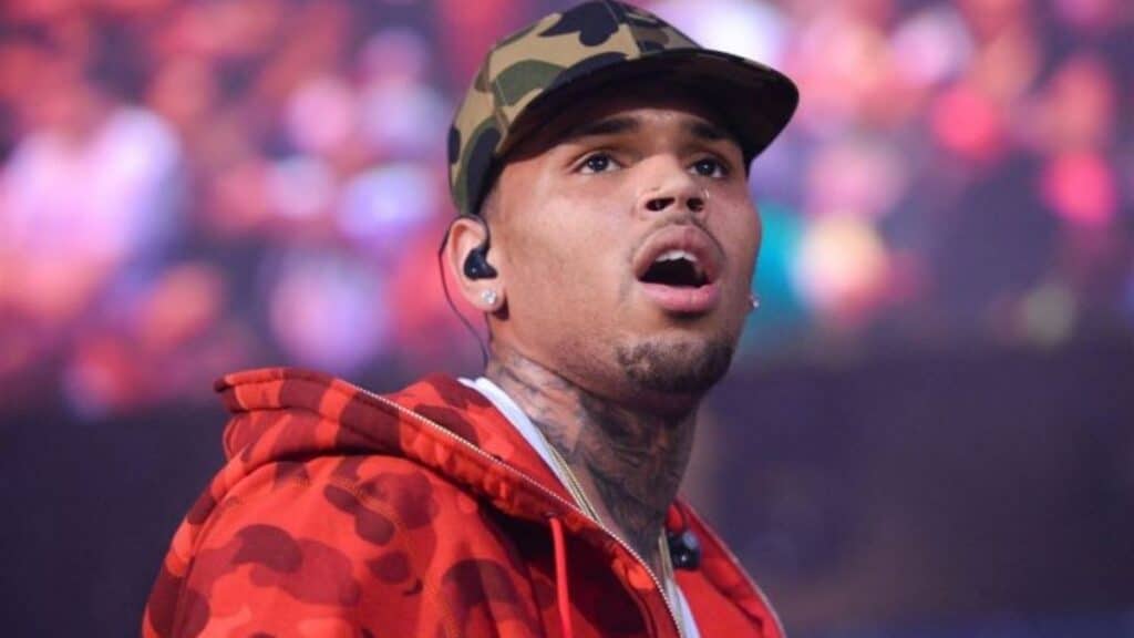 Chris Brown Net Worth What Is It And How Much Money Has He Made?