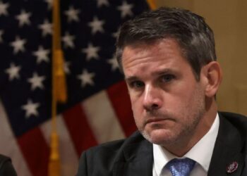 Adam Kinzinger Farewell Speech youtube