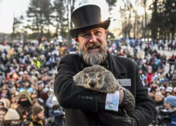 Did Punxsutawney Phil See Shadow