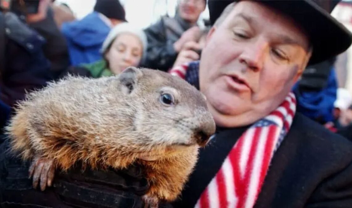 _Groundhog