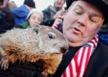 _Groundhog