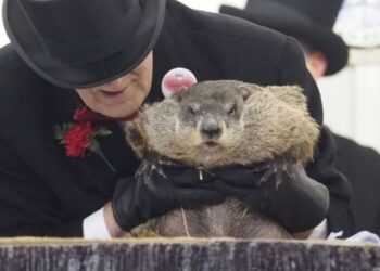 Punxsutawney Phil Wife