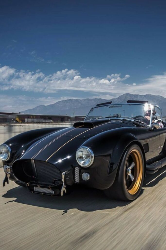 Shelby Cobra - Aaron Paul