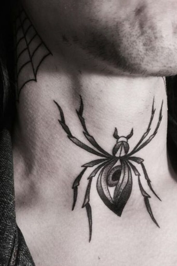 The Anatomical Arachnid