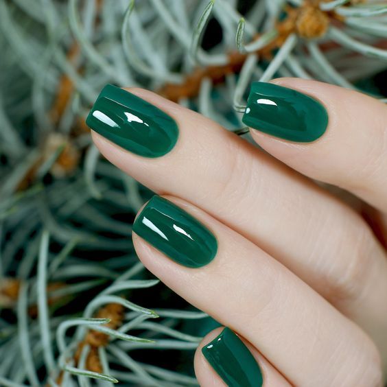 Forest Green Enchantment