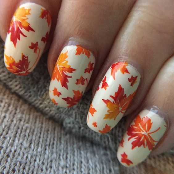 Maple Leaves Delight