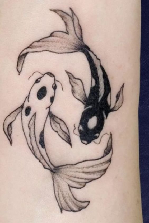 Yin and Yang Koi Fish
