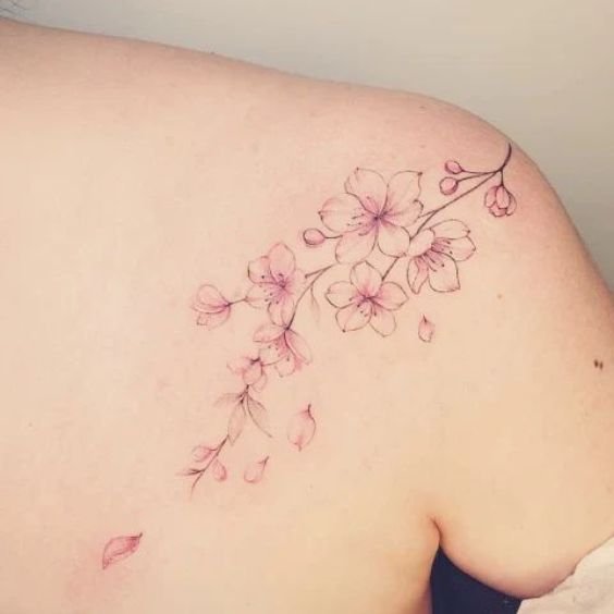 Sakura Cherry Blossom Vine