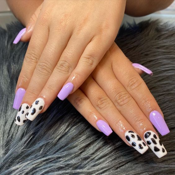 Cow Print With Lilac Accents