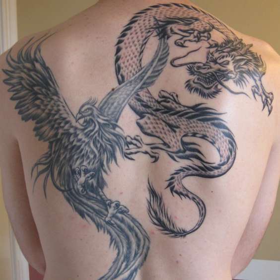 Phoenix and Dragon Tattoo (1)