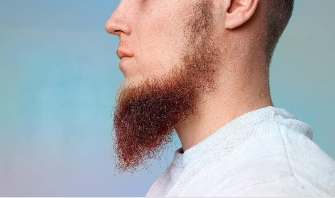 Amish Beard Styles