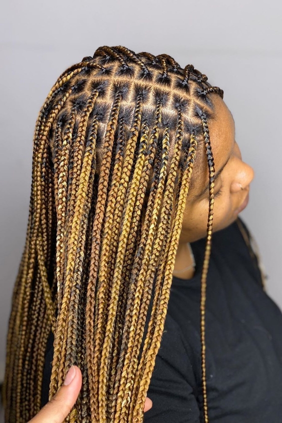 Golden Honey Knotless Braids