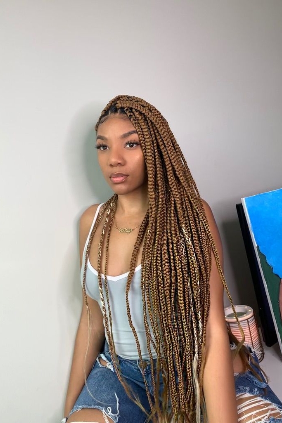 Honey-Toned Knotless Box Braids