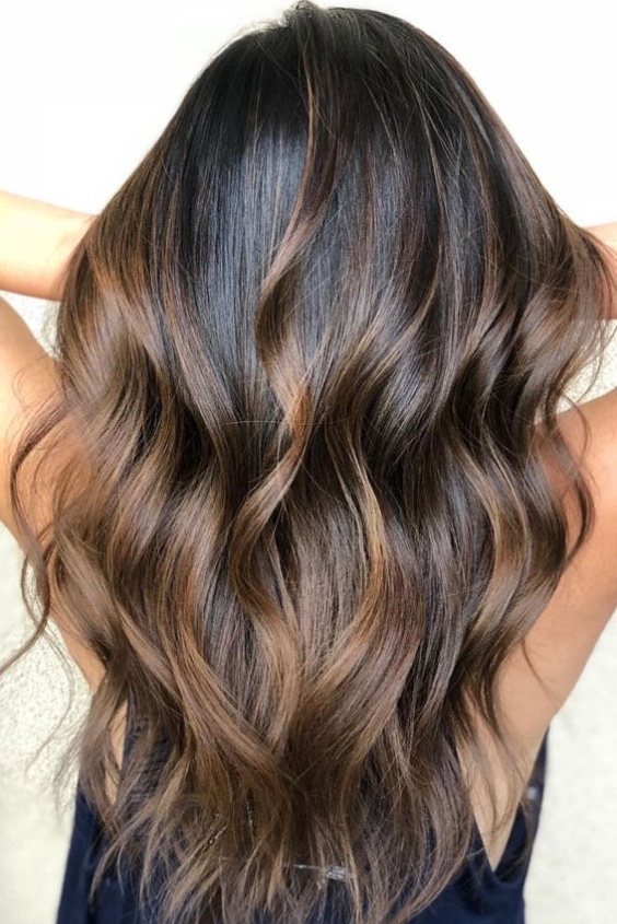 Sun-Kissed Honey Brown Highlights on Dark Hair