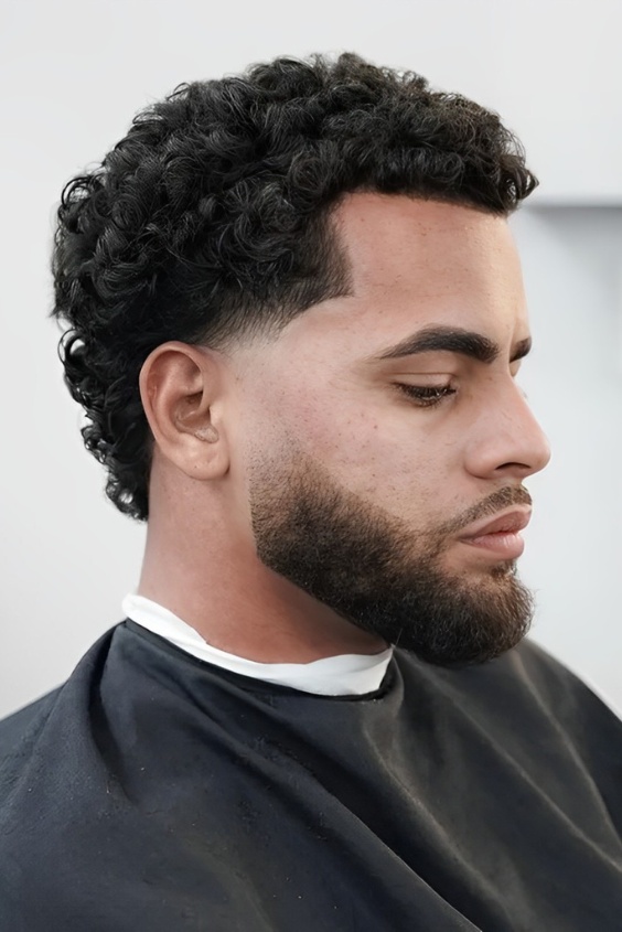 The Curly Beard with Tapered Sides