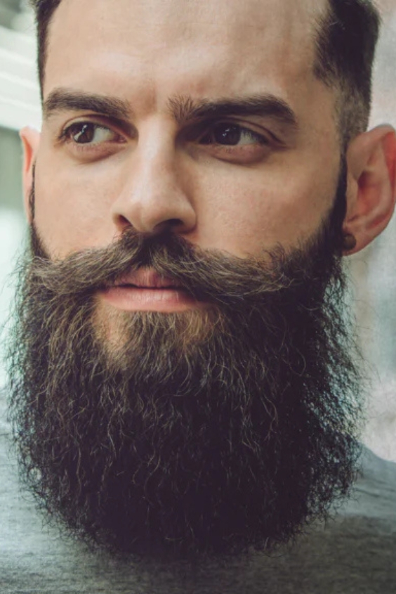 The High Curve Sculpted Beard