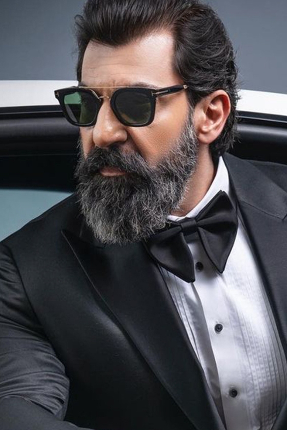 The Refined Silver Fox Beard