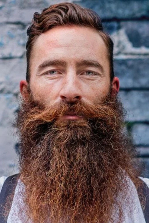 Chevron Moustache with Long Beard