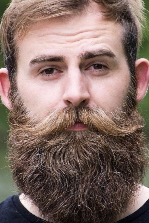 Long Bushy Beard with a Mustache