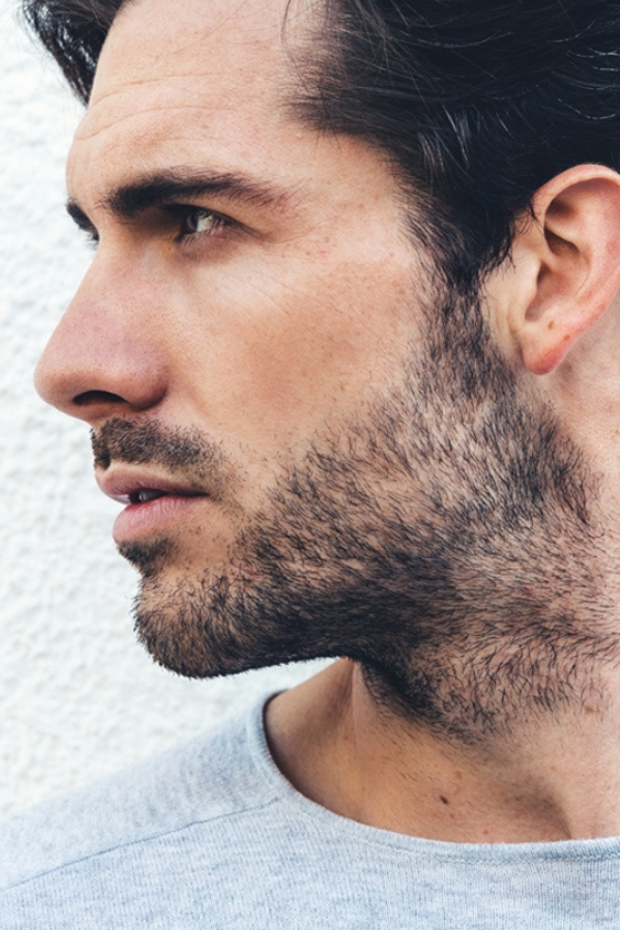 The Bold Stubble Beard