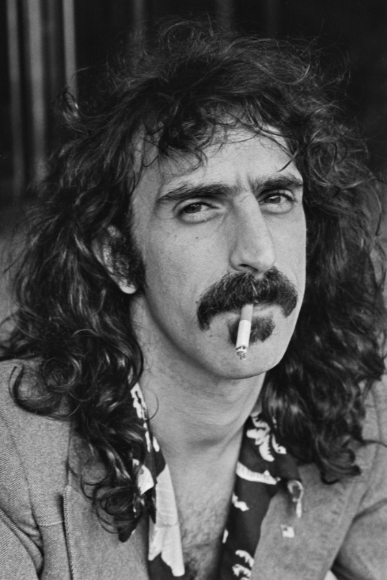 The Bold Zappa Beard