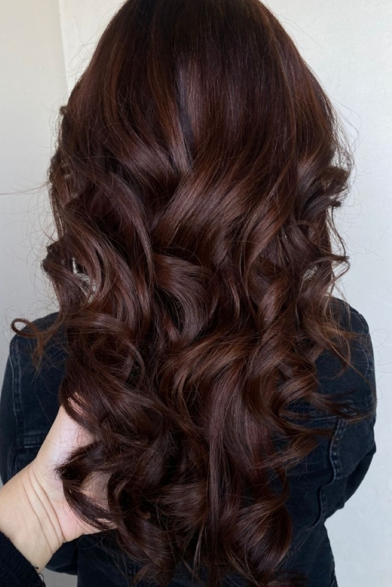 Chocolate Mocha Shade