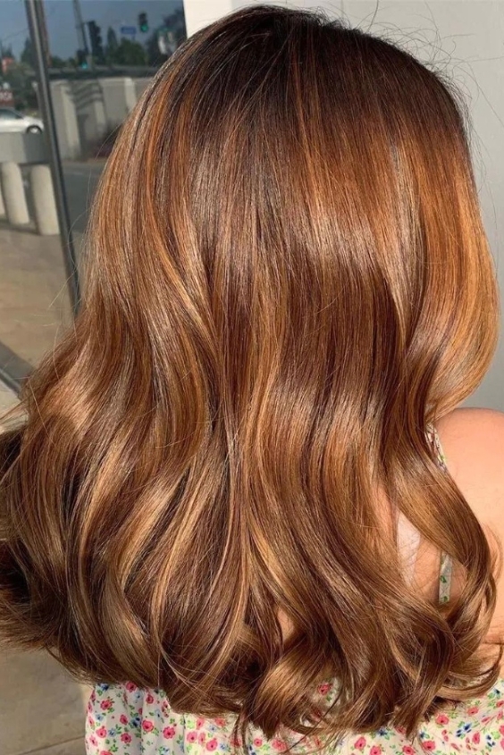 Glossy Chestnut Hair