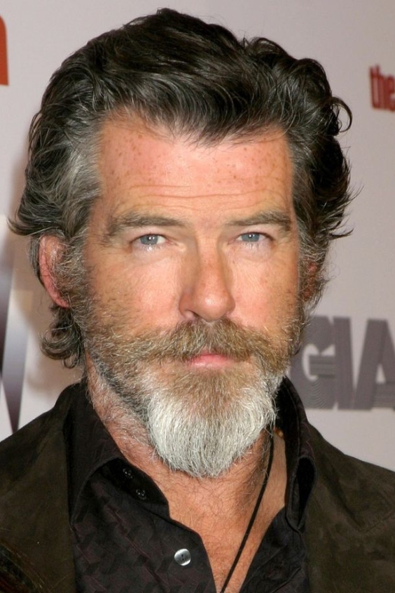 Van Dyke Style Bushy Beard