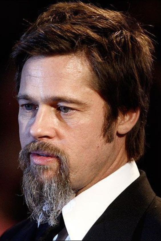 The Hollywood Heartthrob Goatee