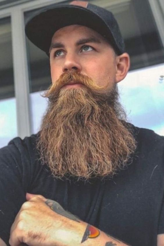 Bold and Bushy Fork Beard