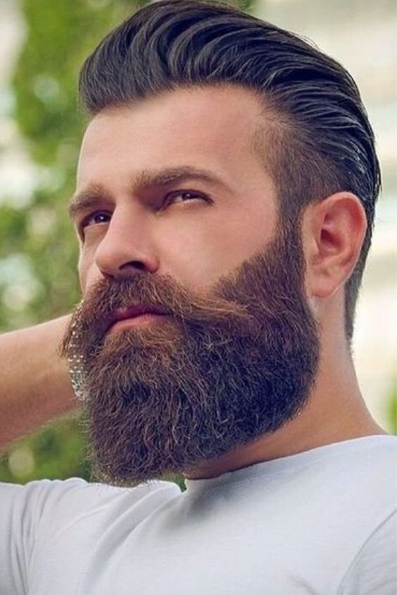 Tapered Beard with Thick Mustache