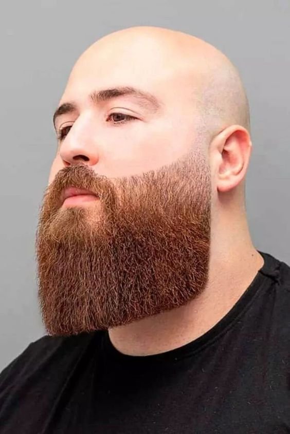 Tapered Fade with Beard and Bald Head