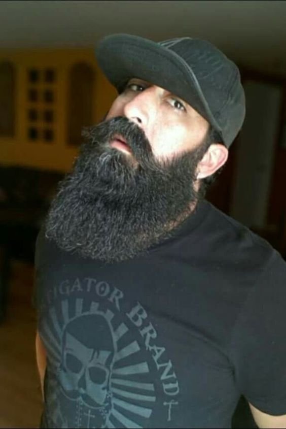 The Rocker’s Rebellion Beard