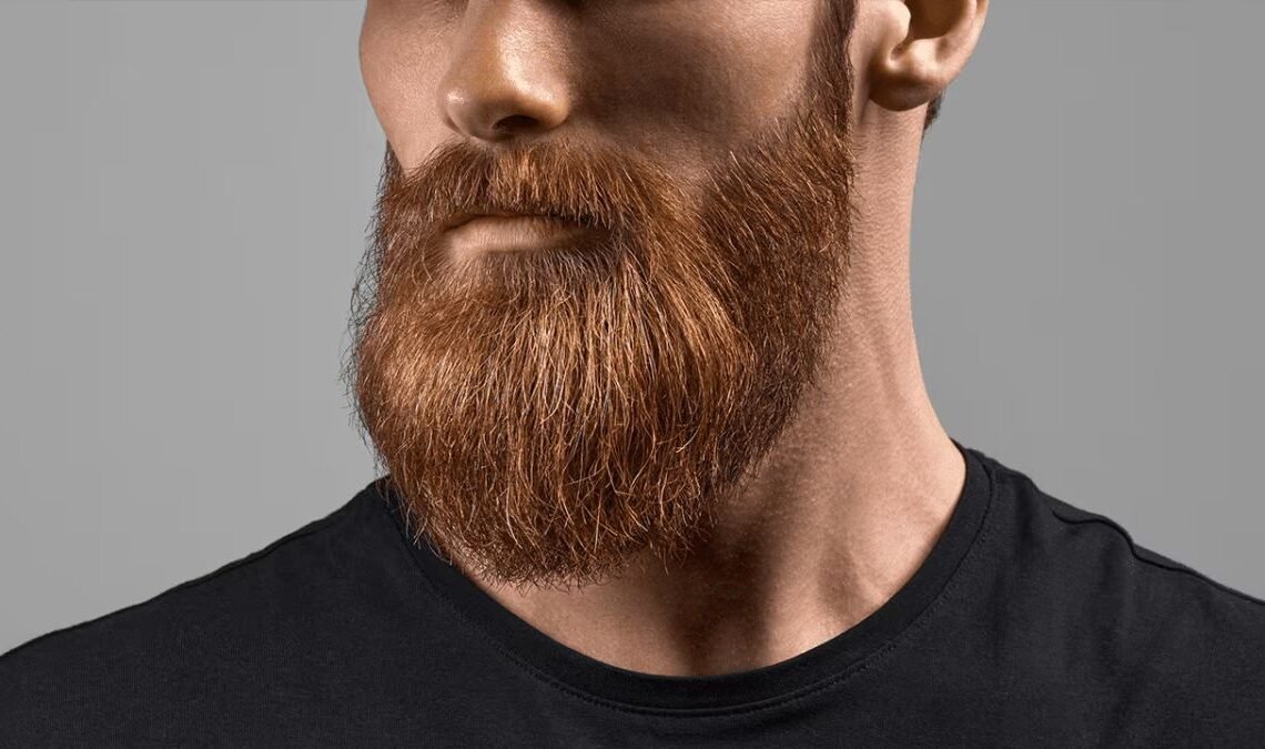 Viking Beard Styles