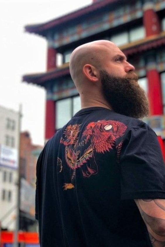The Artistic Yeard 