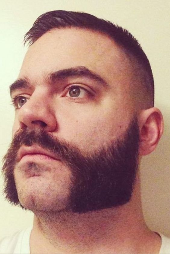The Franz Josef Beard