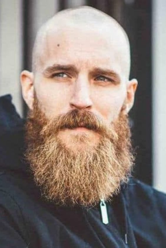 The Garibaldi Beard