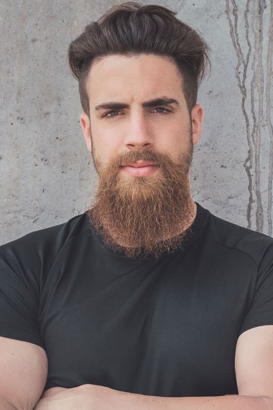 The Viking Extended Beard