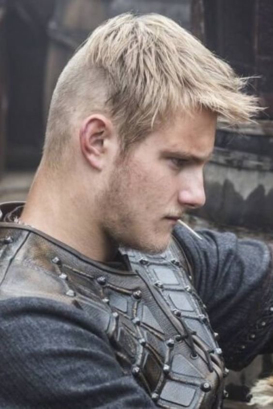 The Viking Stubble