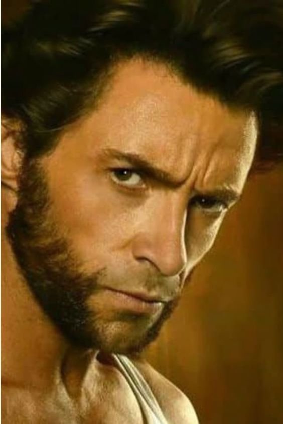 The Wolverine Mutton Chops