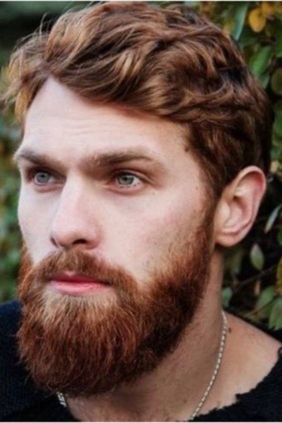 The Regal Full Beard