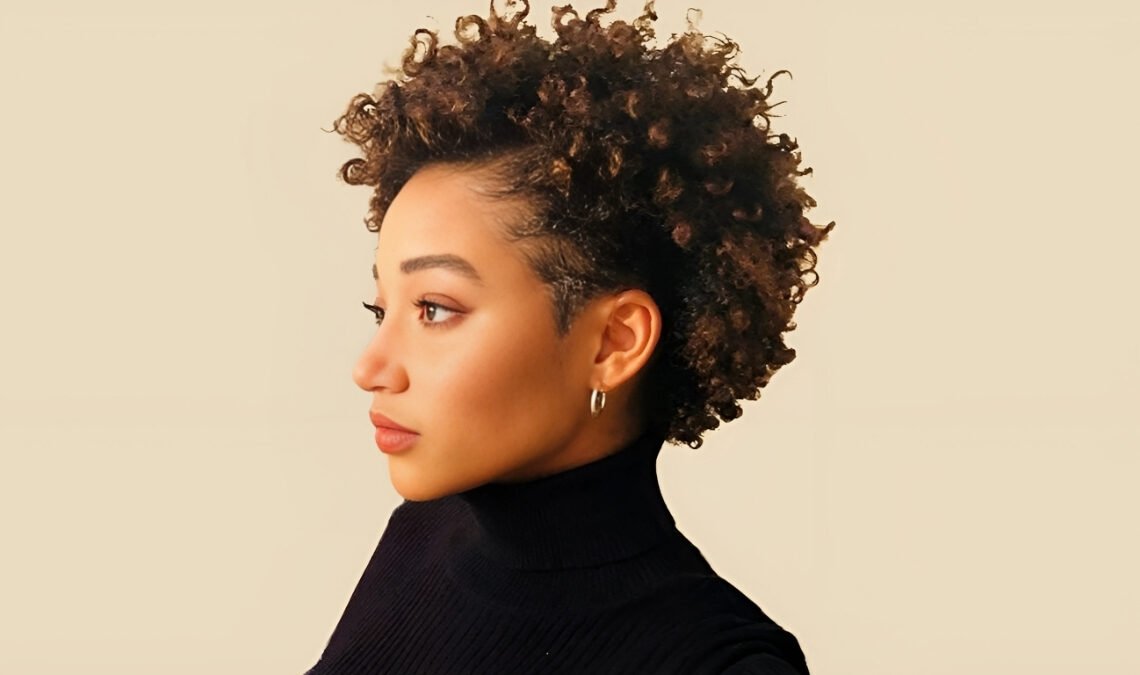 Afro Hairstyles For Women