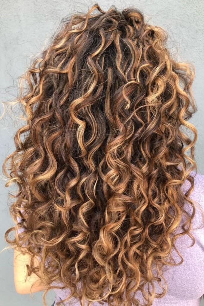 Chocolate Brown Curls with Honey Highlights