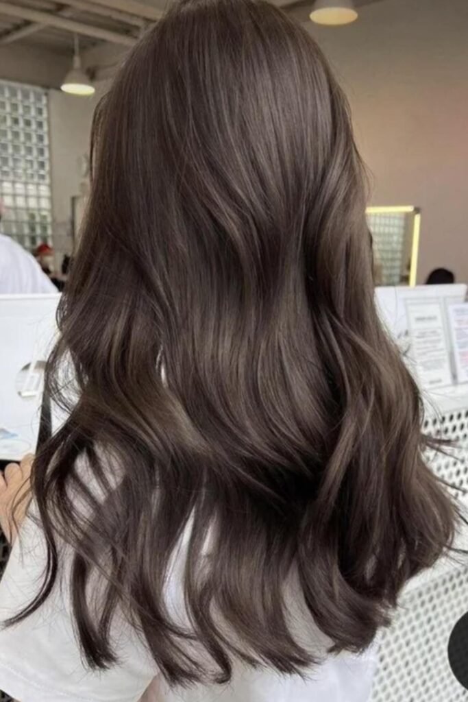 Chocolate Brown Highlights