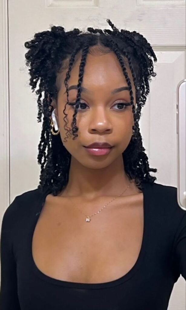 Half-Up Half-Down Kinky Twists