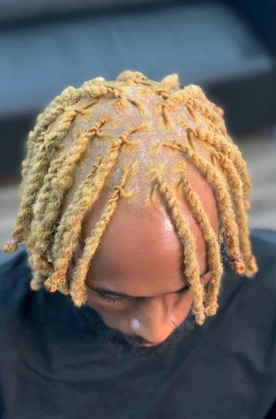 Blonde-Tipped Barrel Twist Dreads