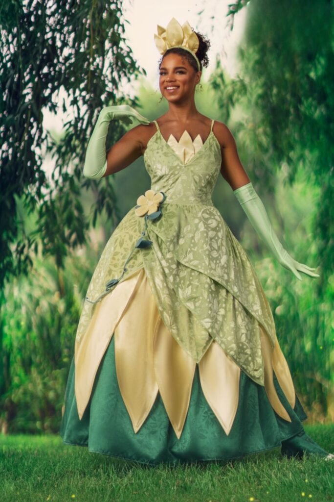 Disney Deluxe Princess And The Frog Tiana Costume