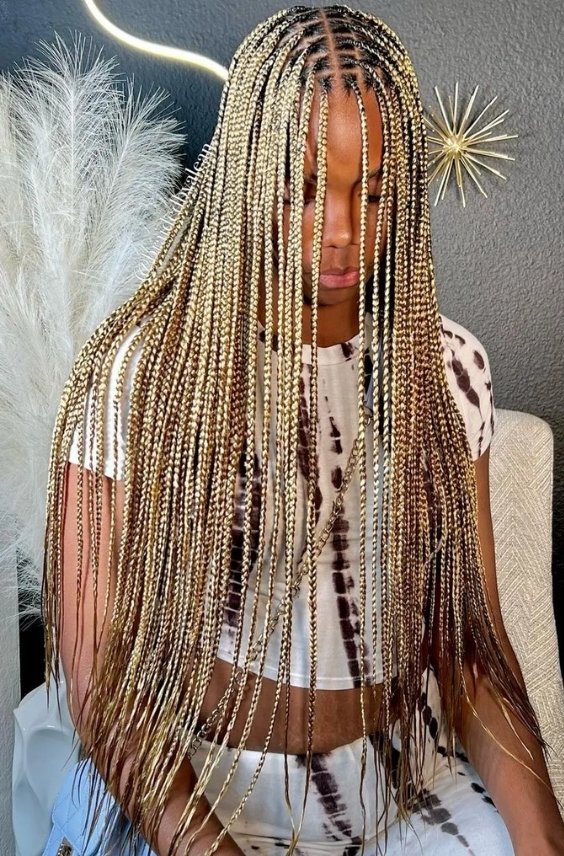 Long Honey Blonde Braided Hairstyle