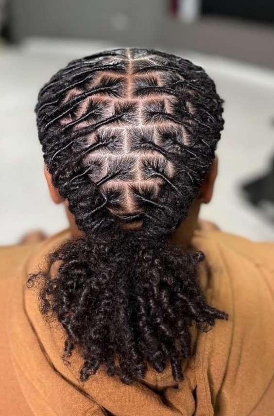 Low Ponytail Barrel Twist Locs